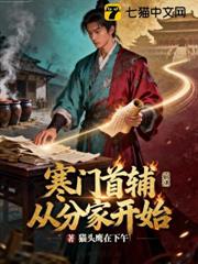 寒門首輔從分家開始 封面