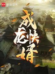 成龍快婿 封面