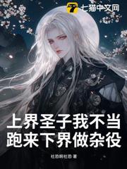 上界聖子我不當，跑來下界做雜役？ 封面
