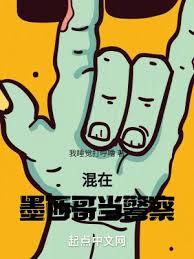 混在墨西哥當警察 封面